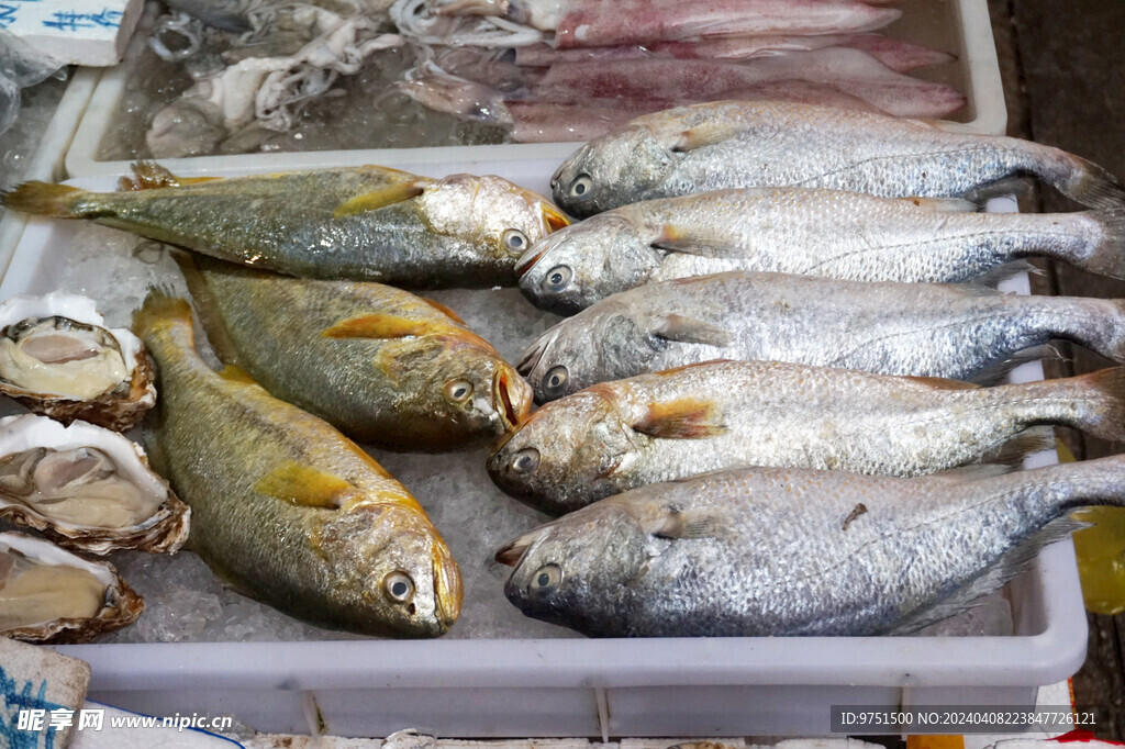 海鲜