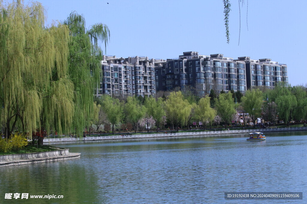 公园风景 
