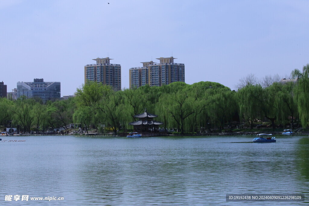 公园风景  