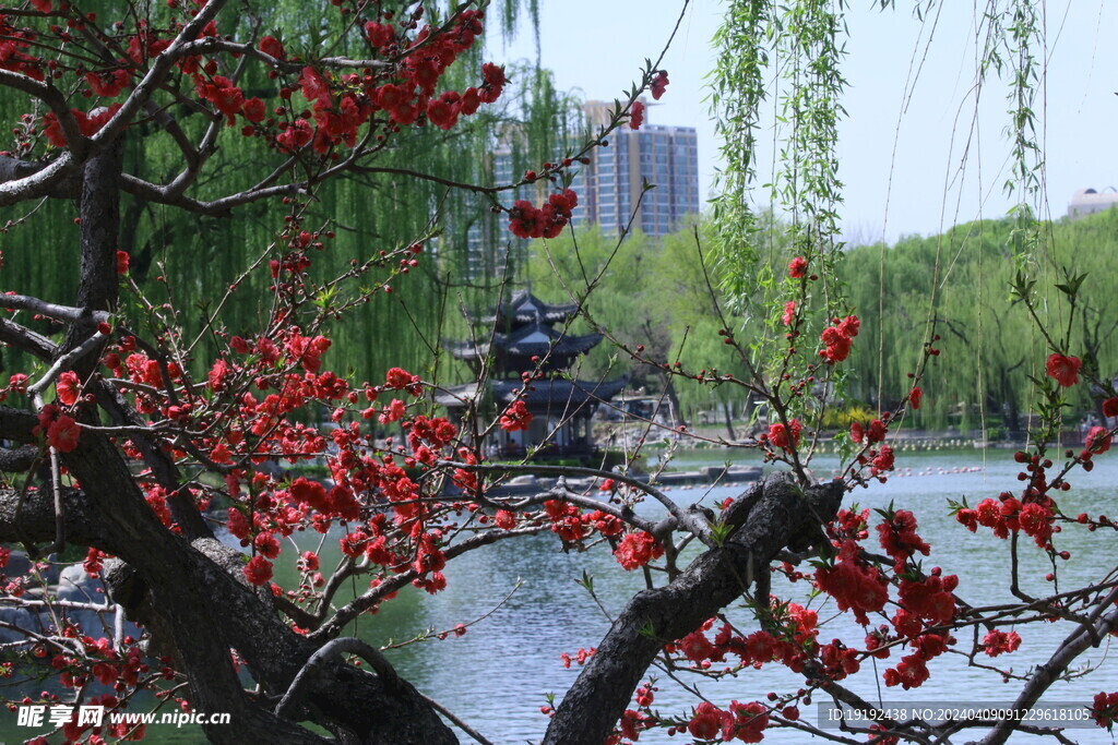 公园风景 