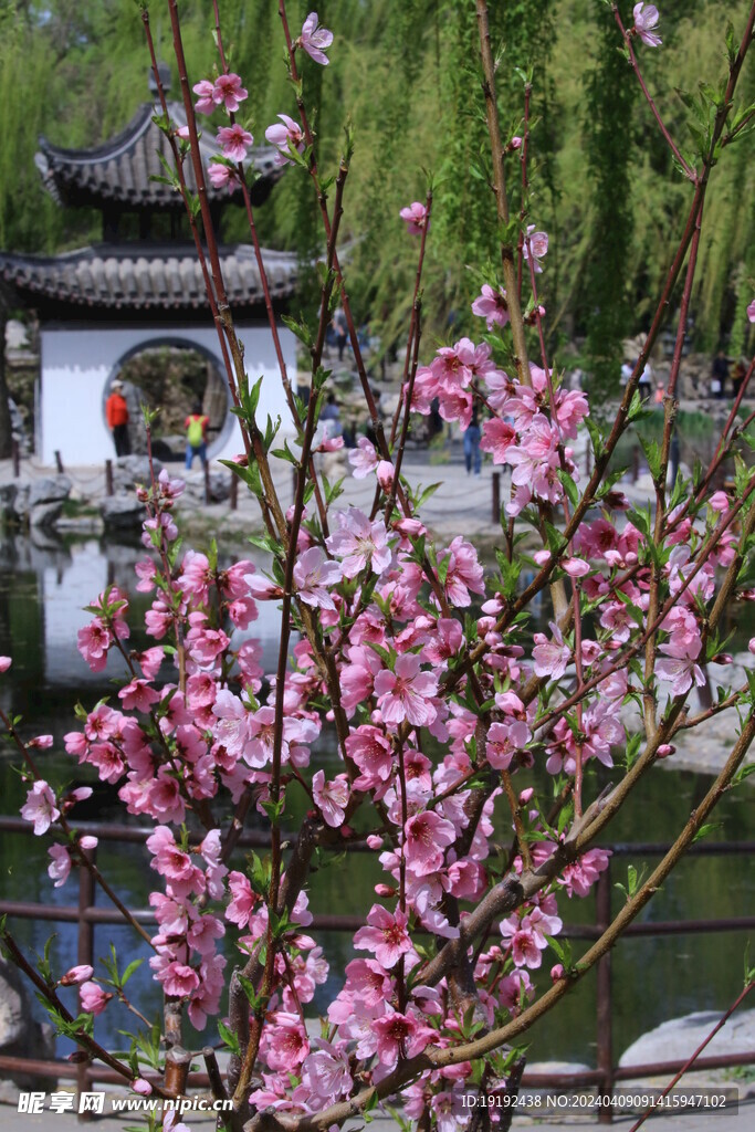 公园风景  