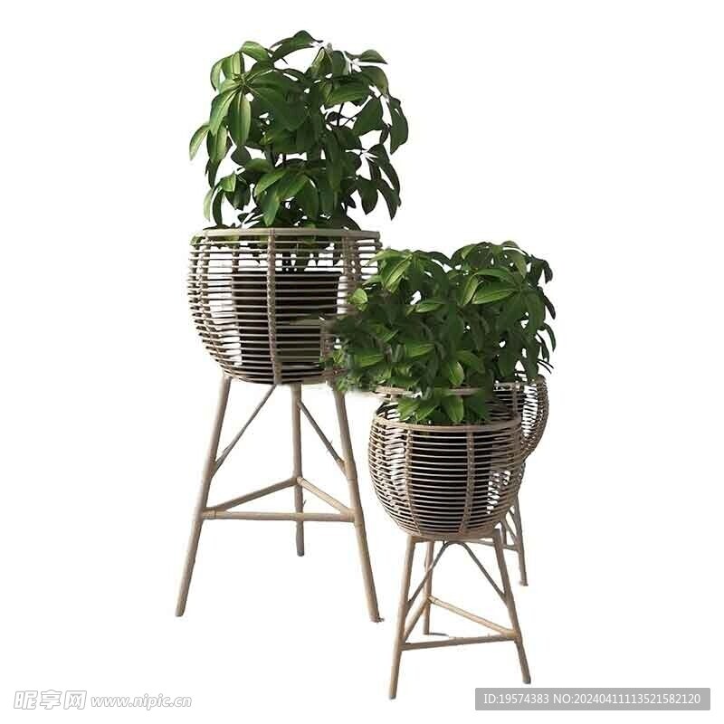 C4D模型 绿色植物