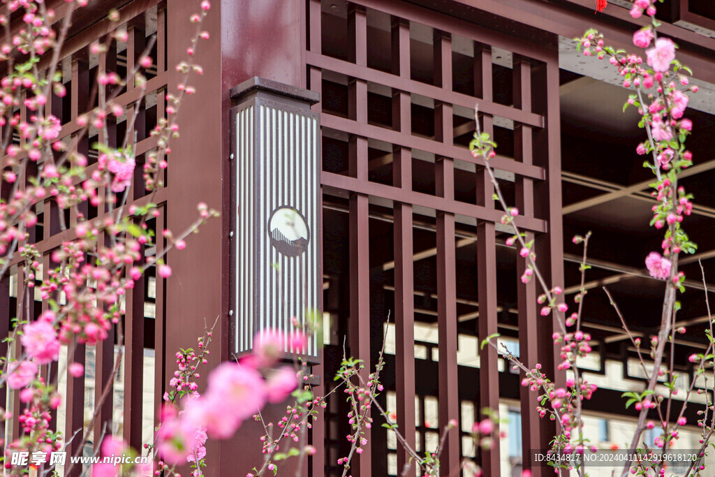 国风 社区一角 春花景秀