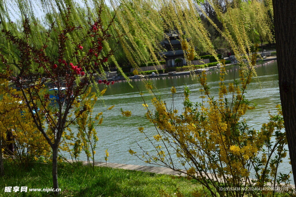 公园风景   