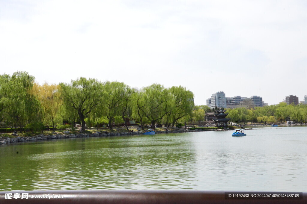 公园风景   