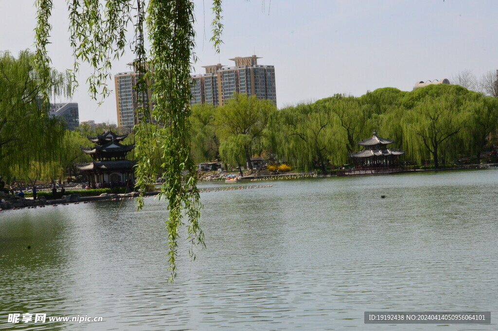 公园风景 