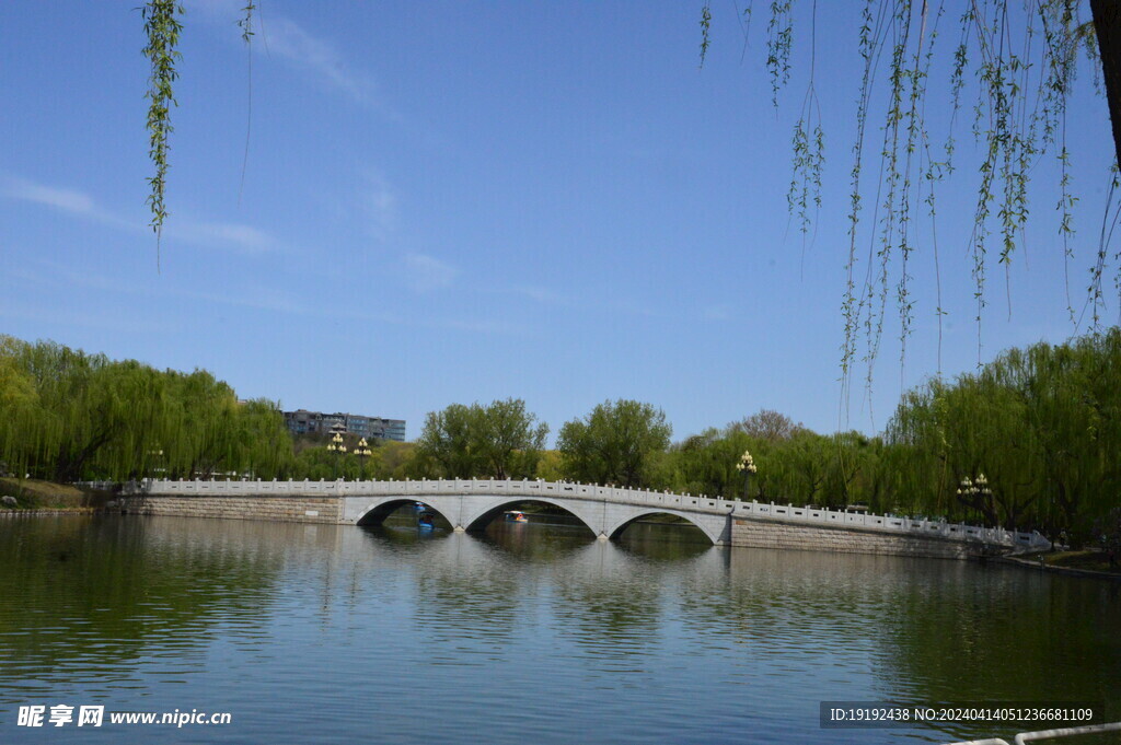 公园风景 