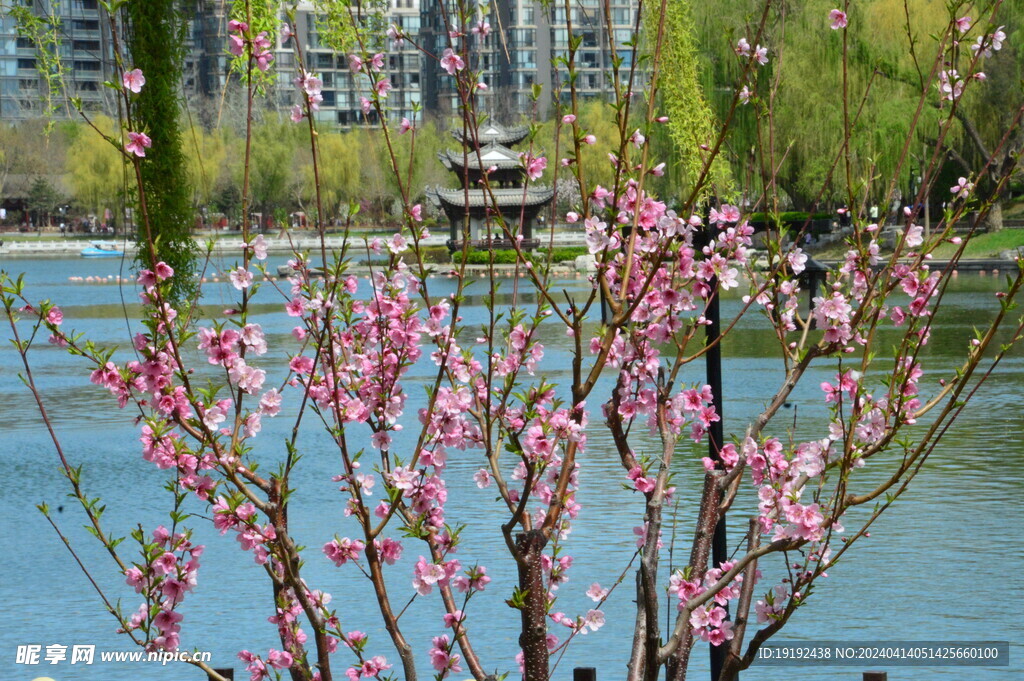 公园风景 