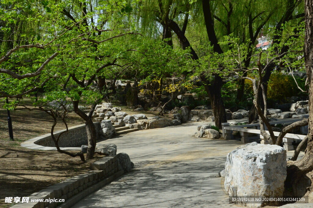 公园风景  