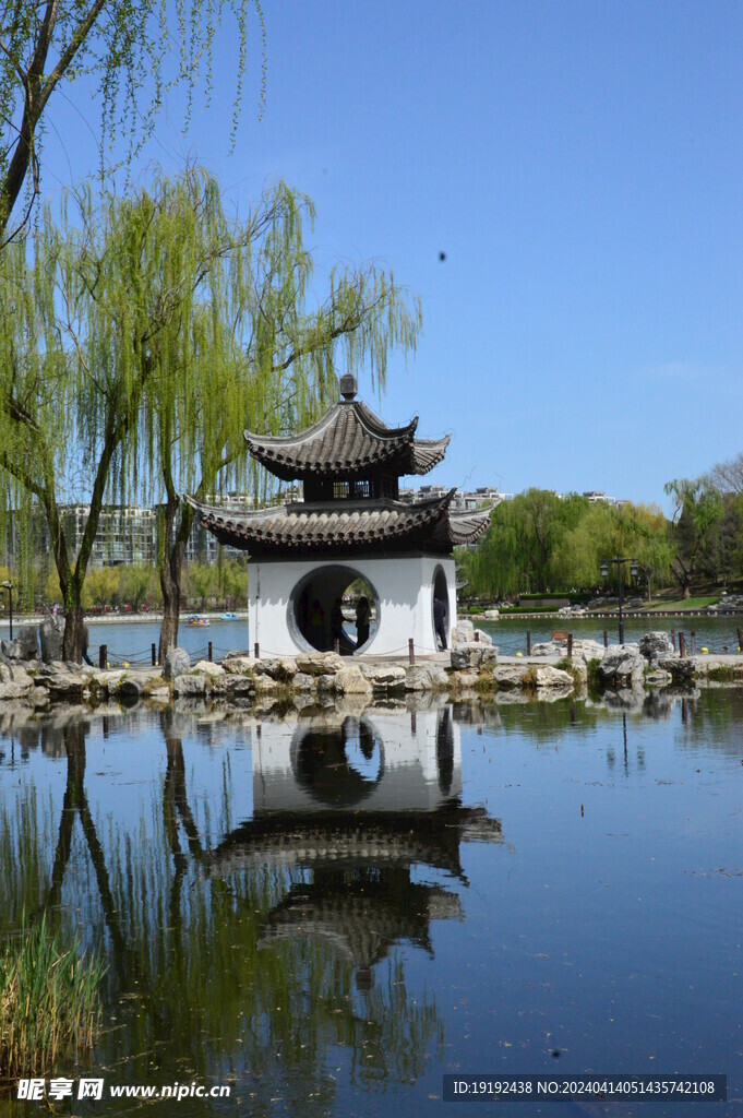 公园风景