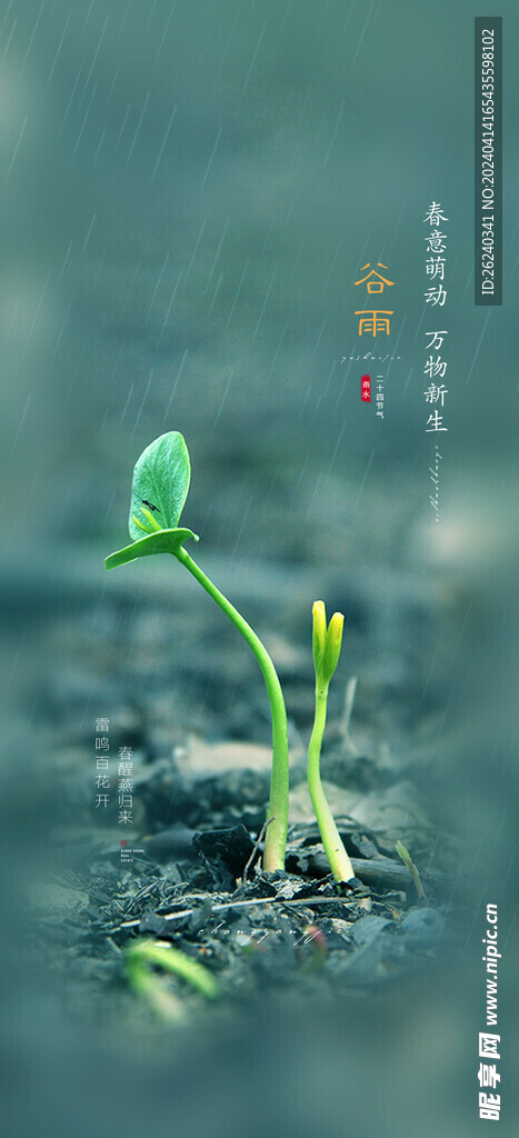 谷雨