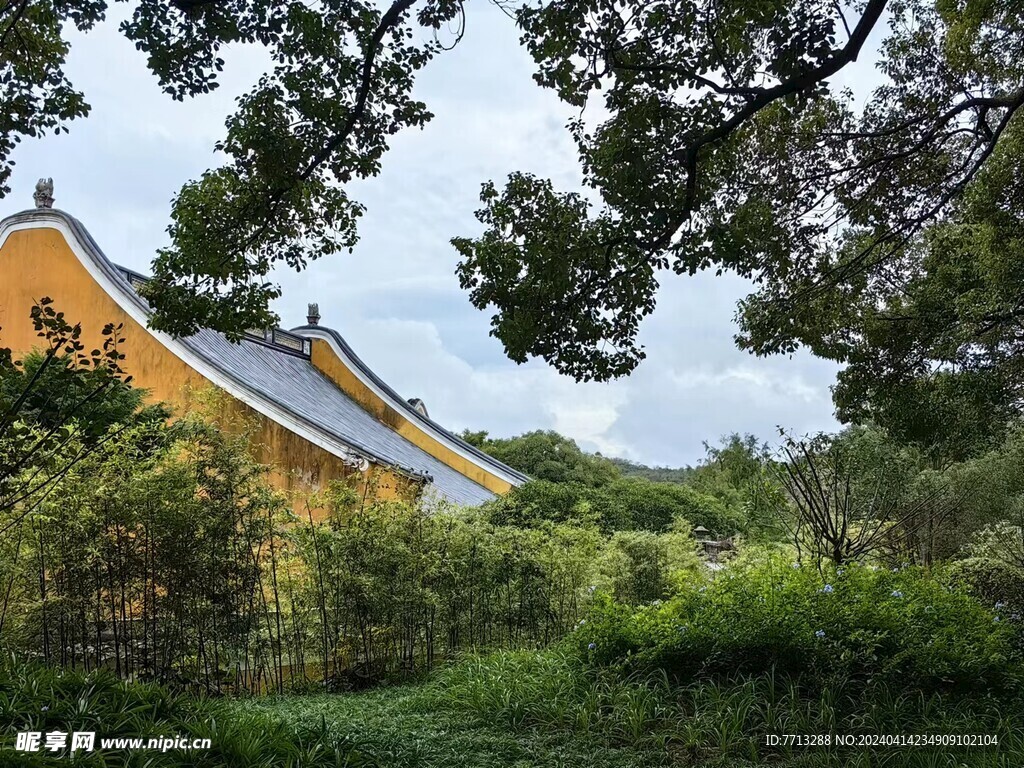 普陀山风景