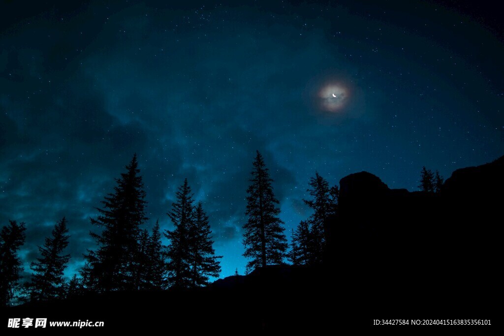 星空下的树林