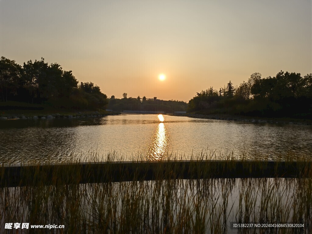 城市湿地公园夕阳西下