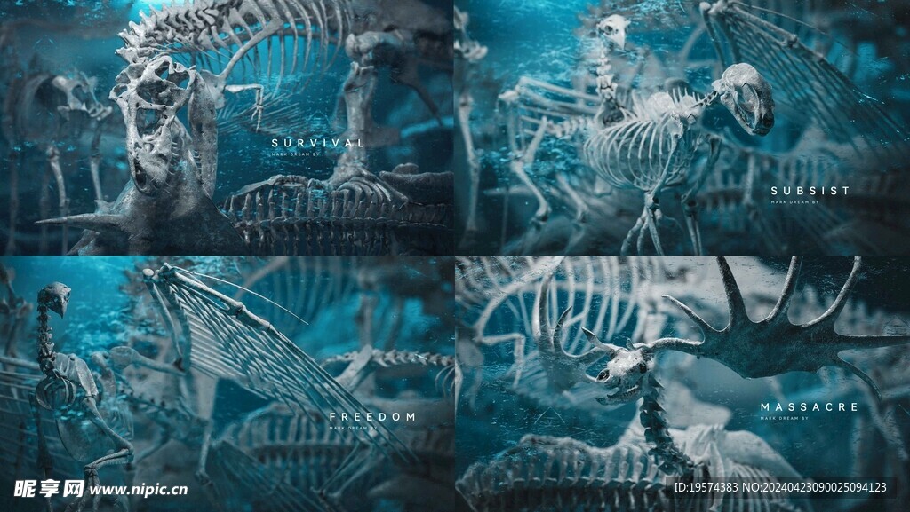 C4D模型 动物骨头