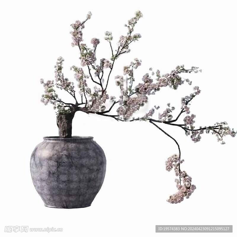 C4D模型  梅花