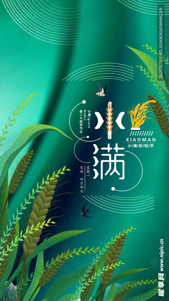 小满时节小麦祝福问候海报界面