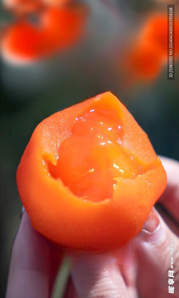 鲜柿饼 