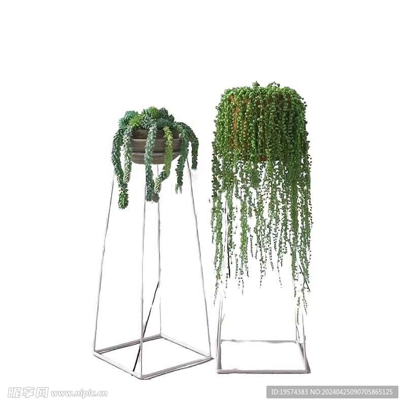 C4D模型 绿色植物