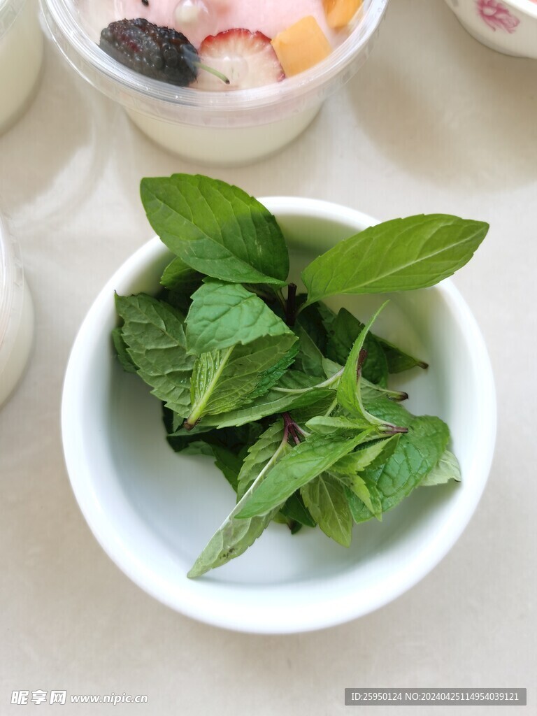 薄荷 