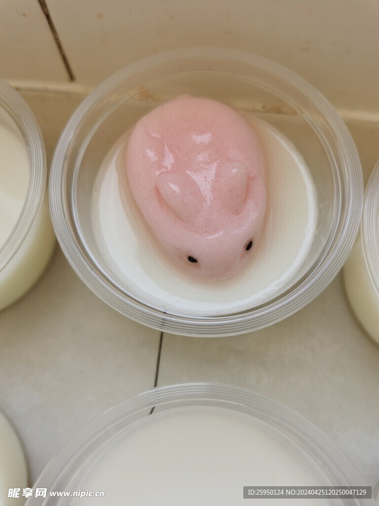 小兔布丁