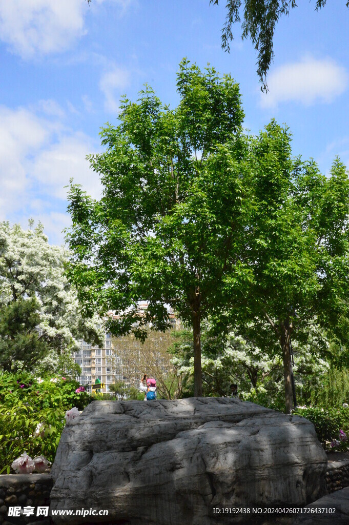 公园风景  