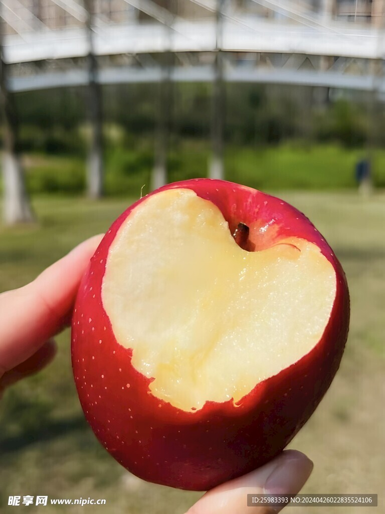 红苹果
