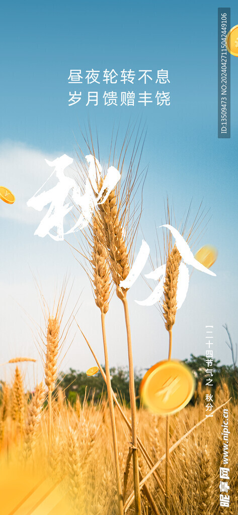 秋分节气麦田