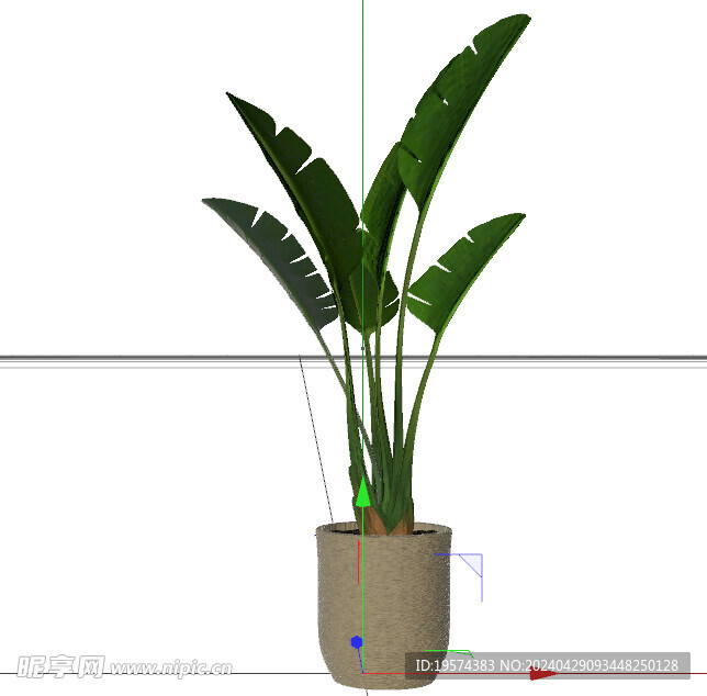 C4D模型 绿色植物