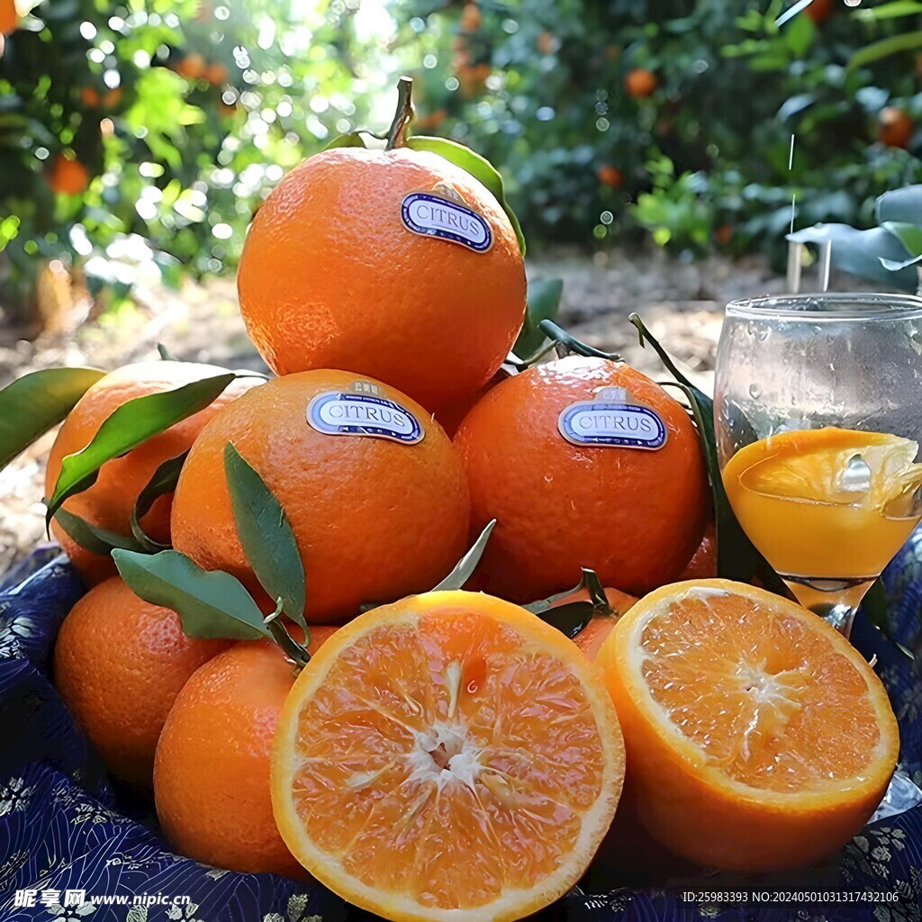 柑橘