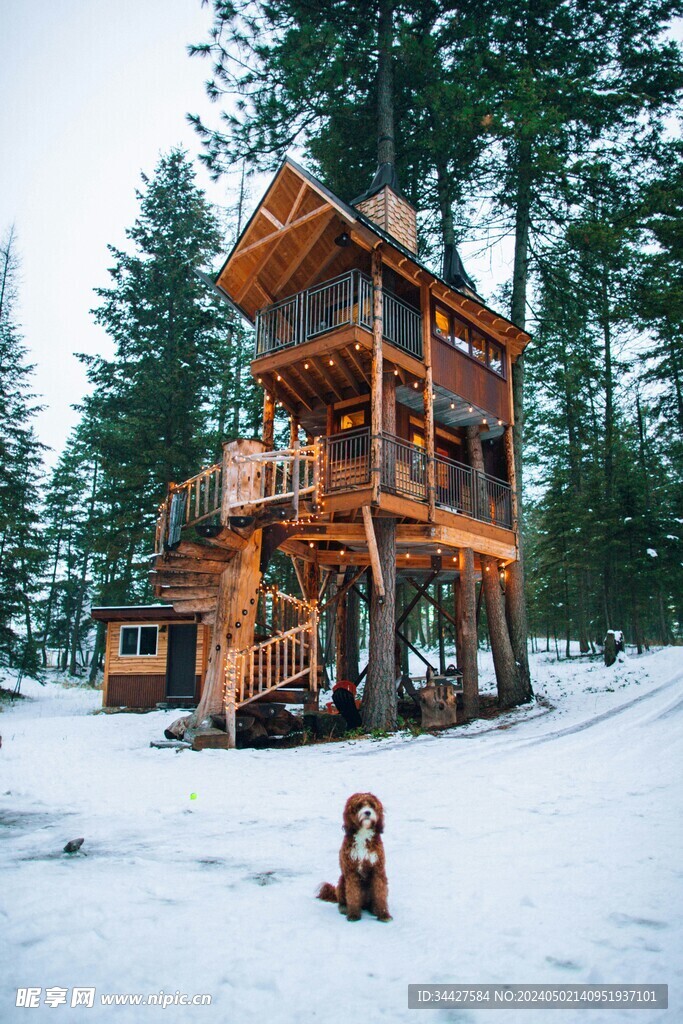 雪中森林木屋