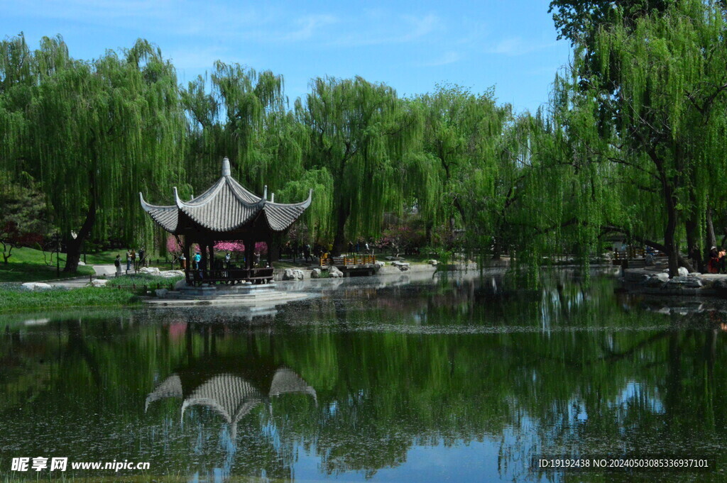 公园风景 