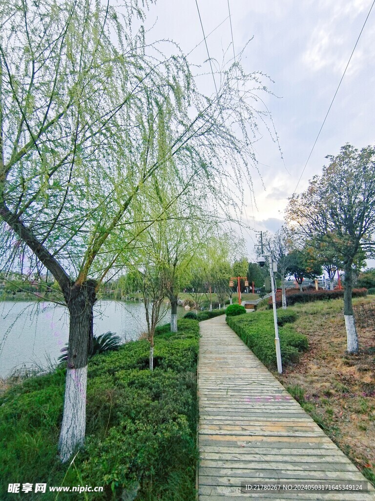 公园的春天