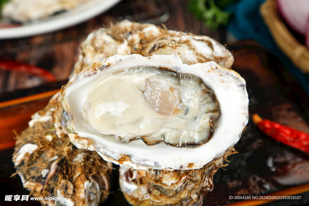 新鲜生蚝
