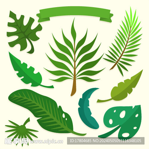 叶子素材