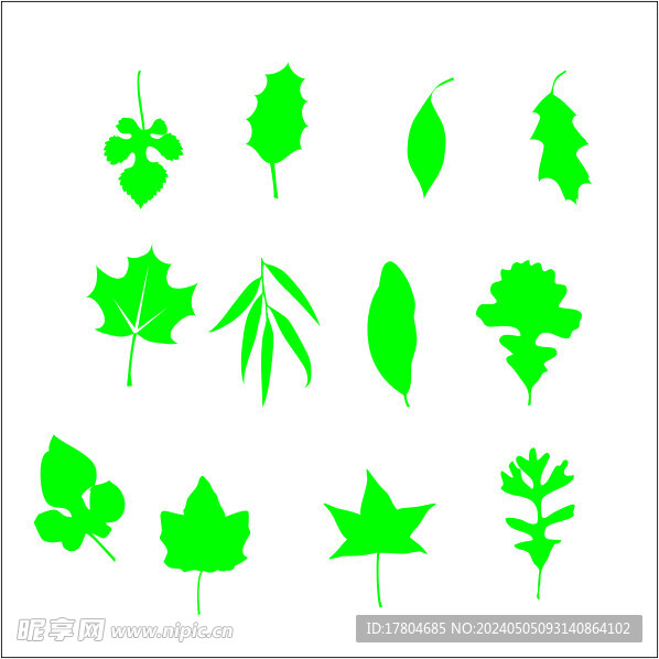 树叶素材