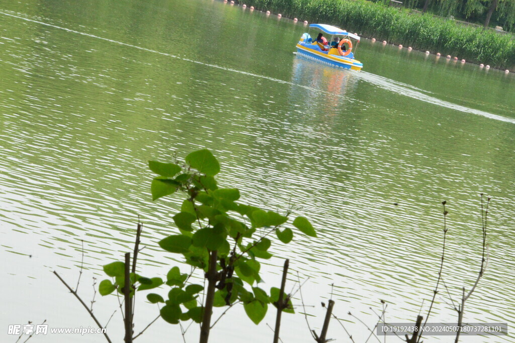 公园风景 
