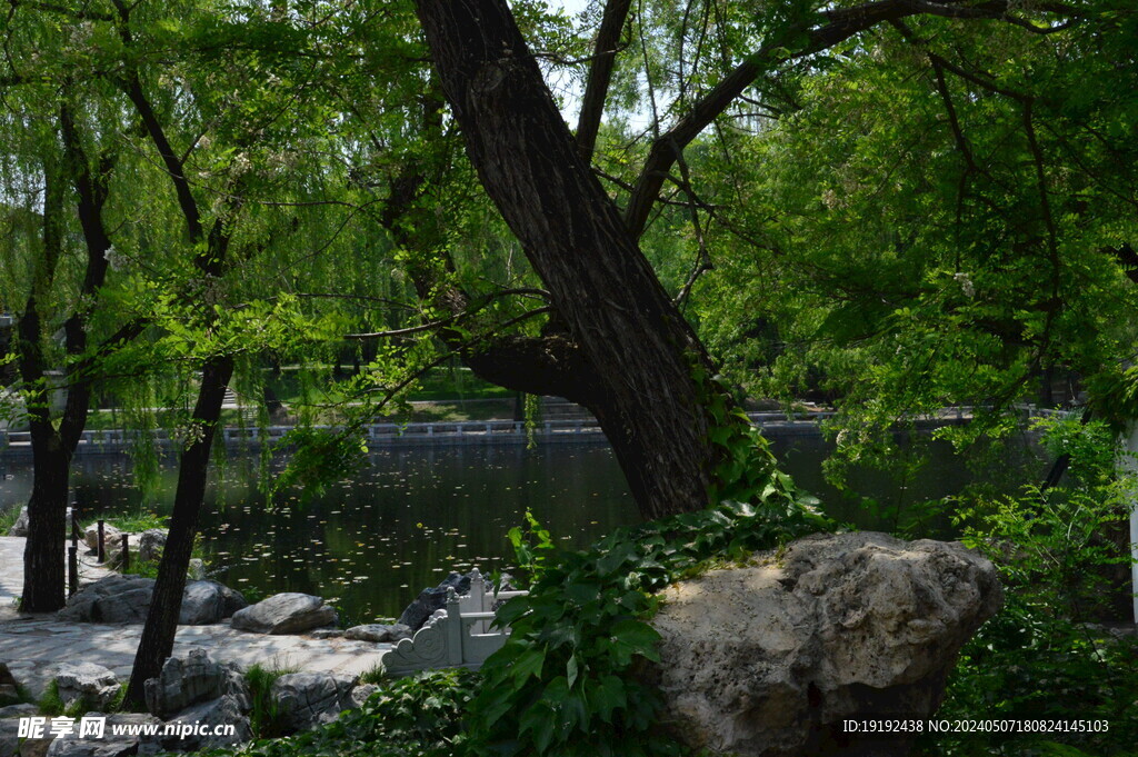 公园风景  