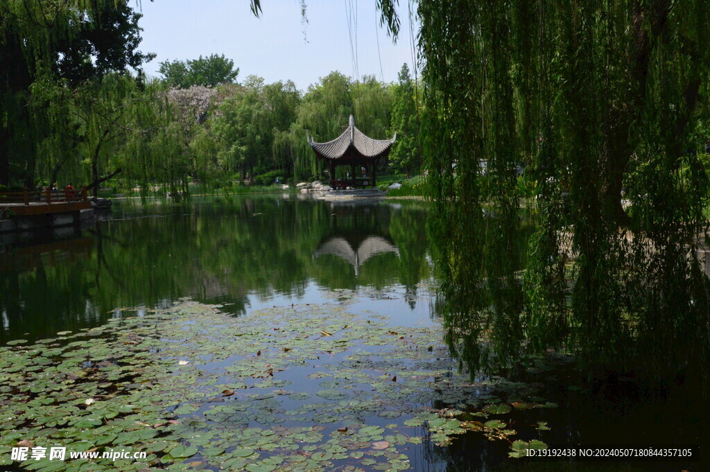 公园风景 
