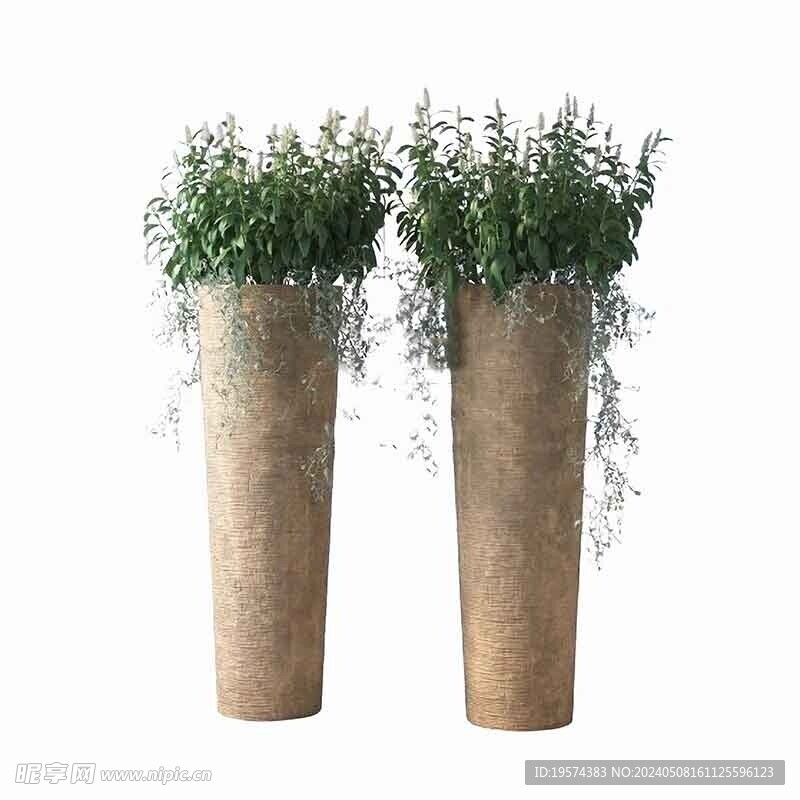 C4D模型 绿色植物