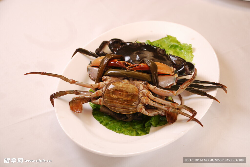 膏蟹 海鲜