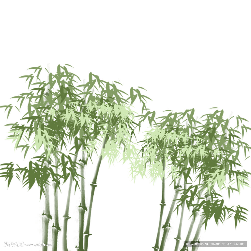 竹子素材