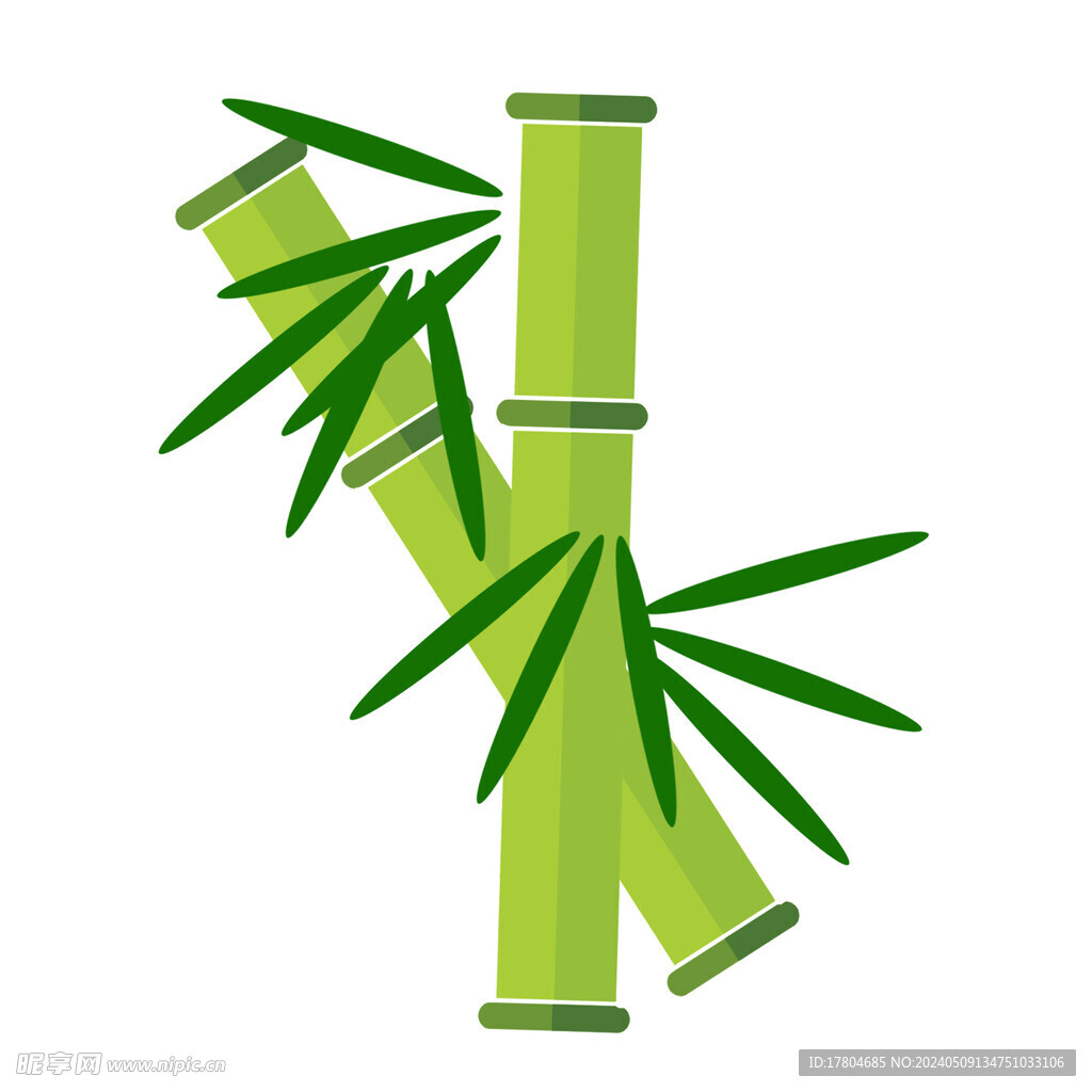 竹子素材