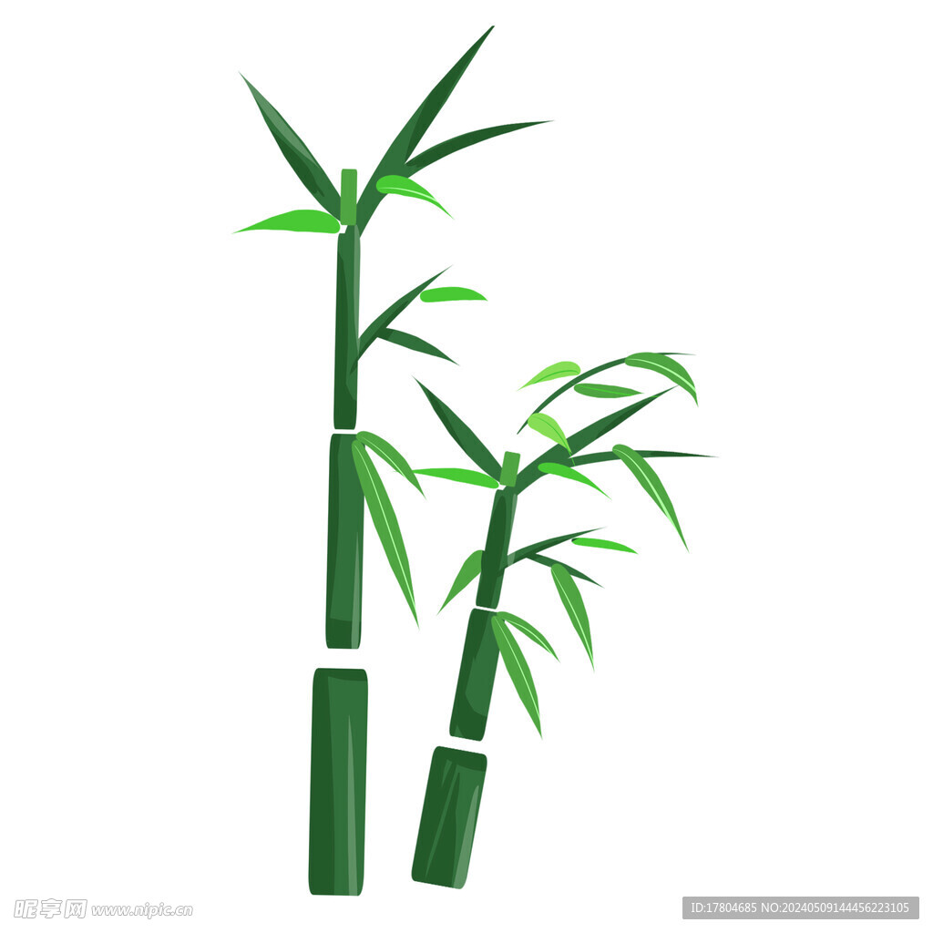 竹子竹笋素材