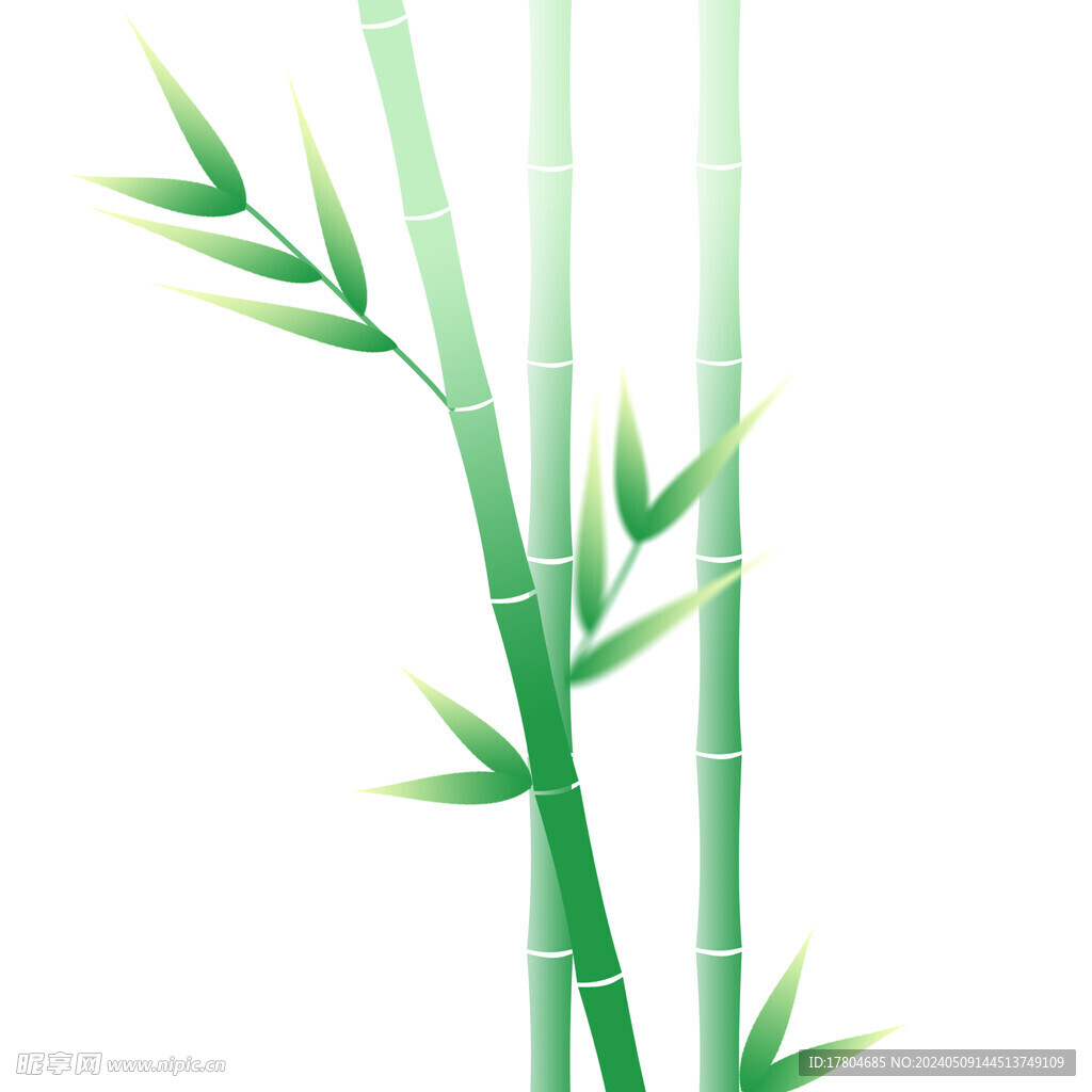 竹子竹笋素材