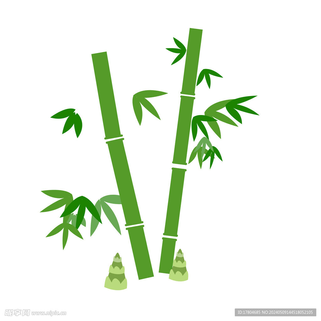 竹子竹笋素材