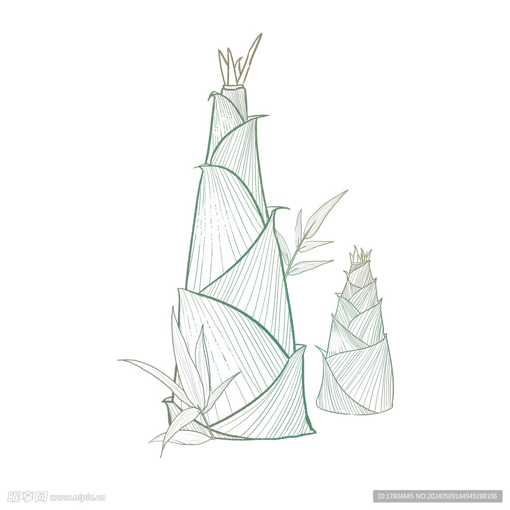 竹子竹笋素材