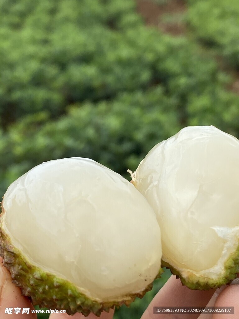 荔枝