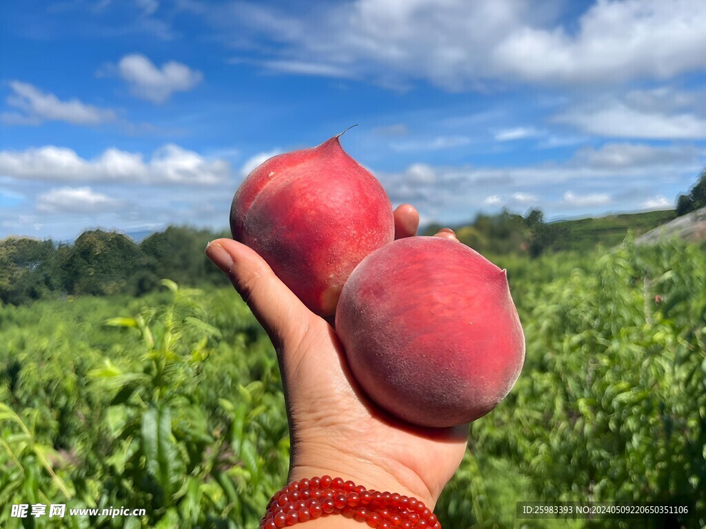 水蜜桃