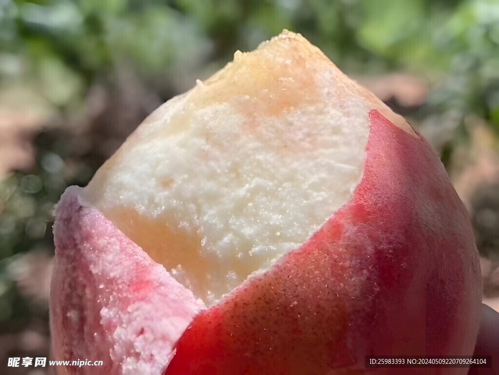 水蜜桃